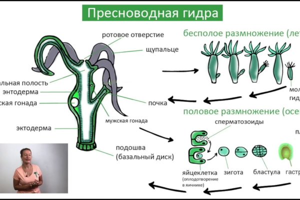 Ссылка на кракен тор магазин