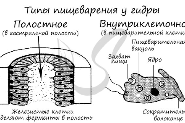 Правильная ссылка на кракен