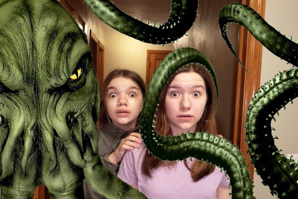 Kraken как найти ссылку